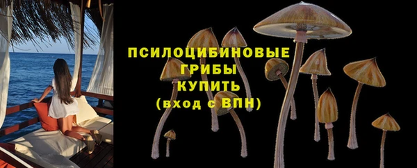 твердый Абдулино