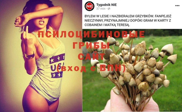 СК Абинск