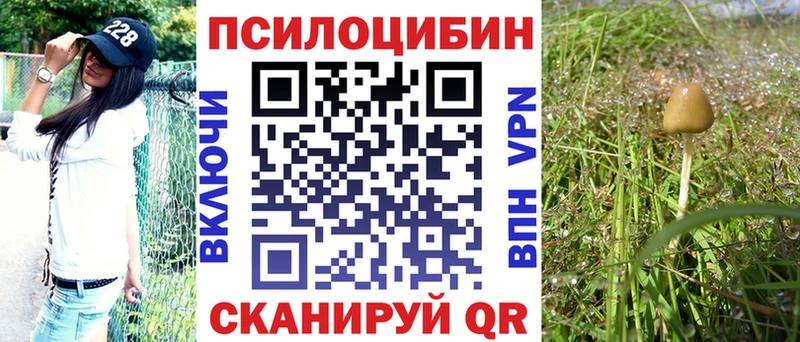 ссылка на мегу ссылки  Краснодар  Галлюциногенные грибы GOLDEN TEACHER 